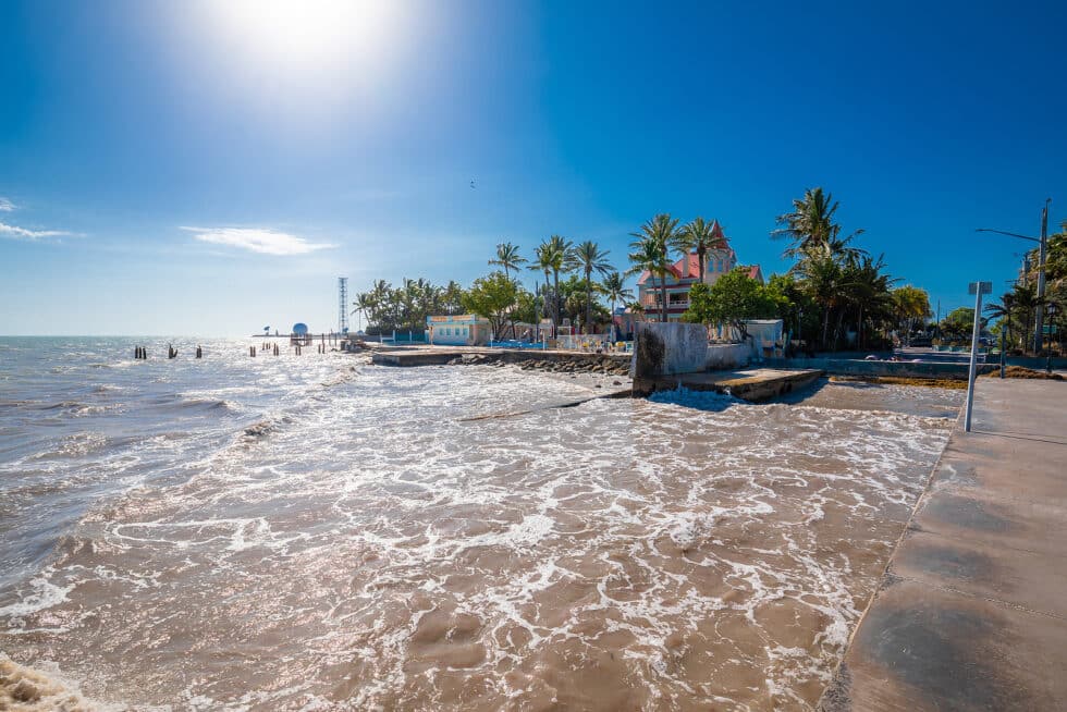 Vacation Travel Innovation view of the Florida Keys coastline with tropical palms and waterfront scenery.